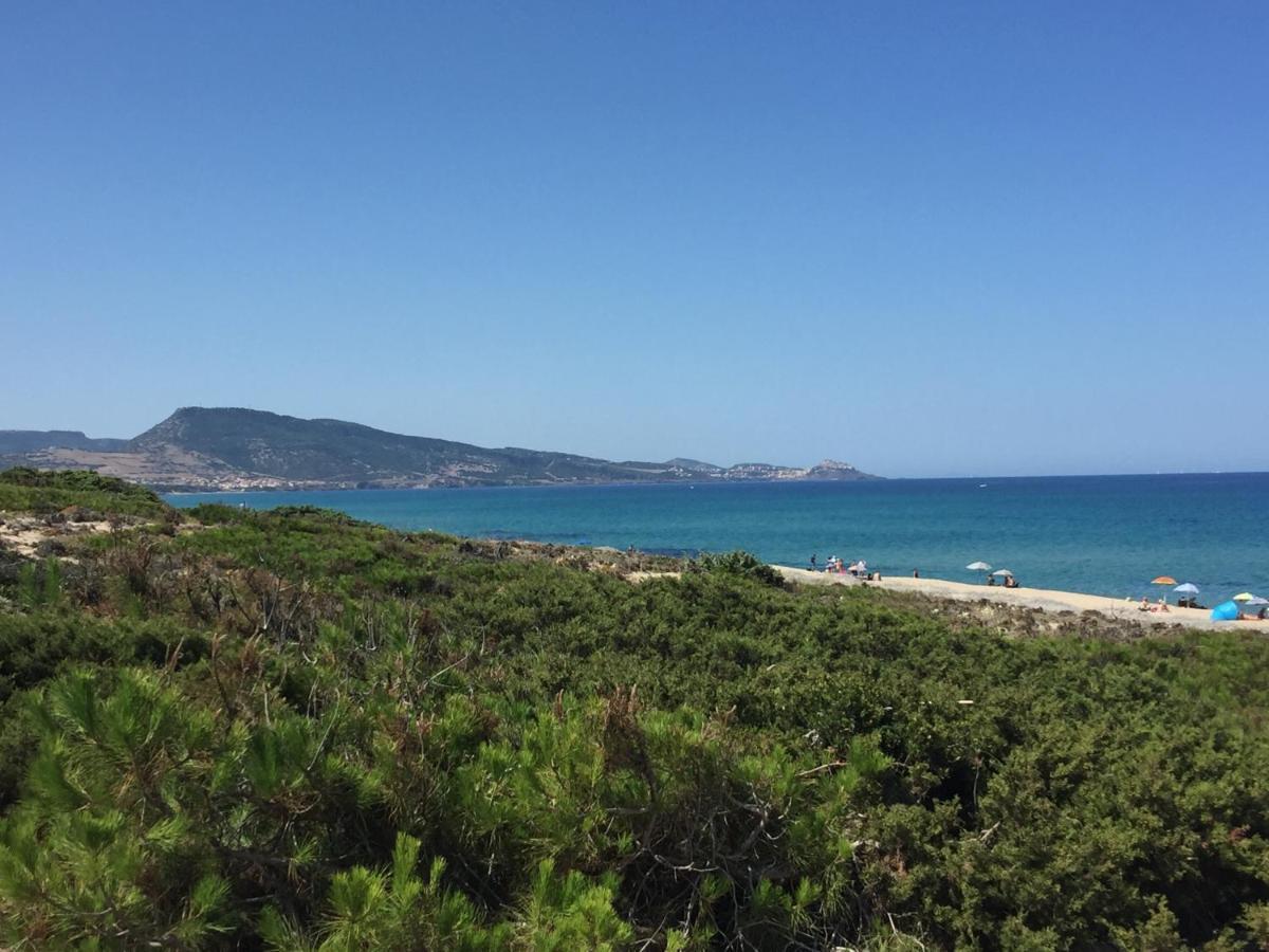 Carrabean Sea In The North Of Sardegna, With Swimming Pool Villa Viddalba Dış mekan fotoğraf