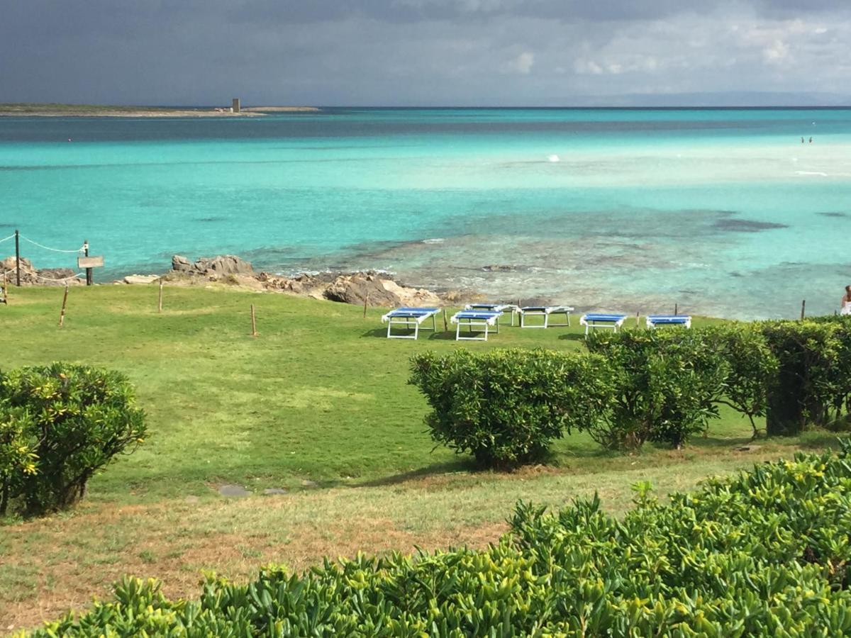 Carrabean Sea In The North Of Sardegna, With Swimming Pool Villa Viddalba Dış mekan fotoğraf