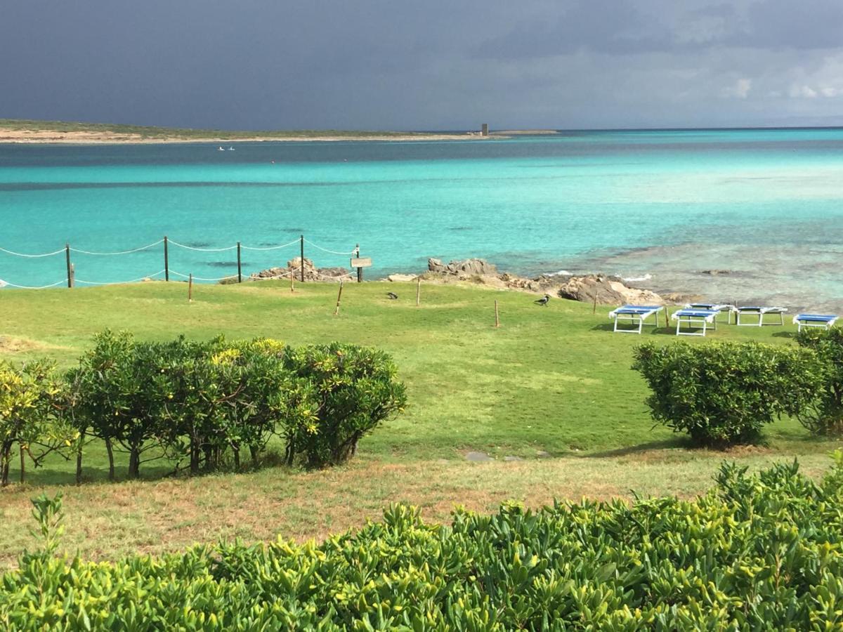 Carrabean Sea In The North Of Sardegna, With Swimming Pool Villa Viddalba Dış mekan fotoğraf