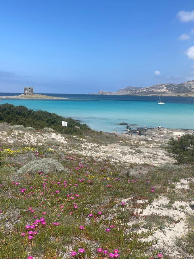 Carrabean Sea In The North Of Sardegna, With Swimming Pool Villa Viddalba Dış mekan fotoğraf